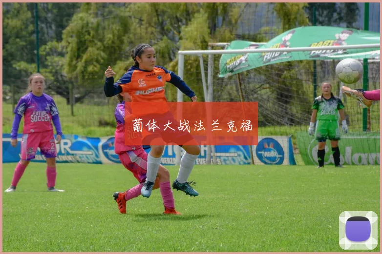 葡体大战法兰克福