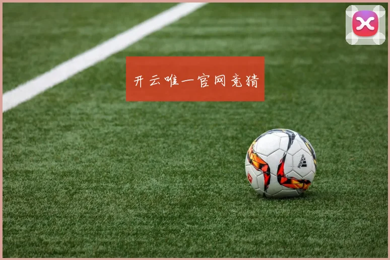 开云唯一官网竞猜