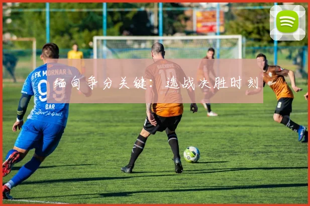 缅甸争分关键：选战决胜时刻