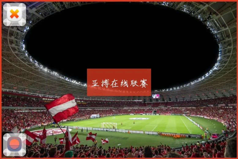 亚搏在线联赛