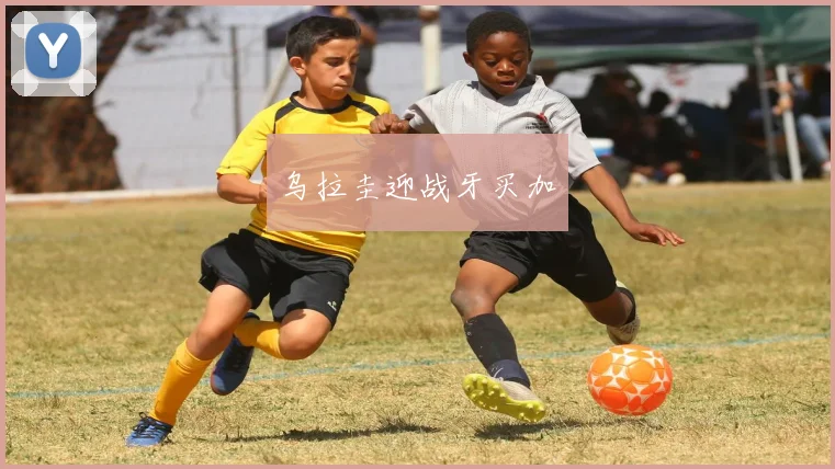 乌拉圭迎战牙买加