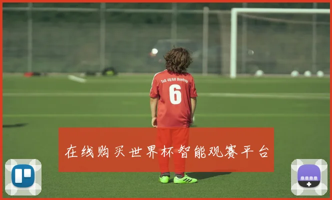 在线购买世界杯智能观赛平台