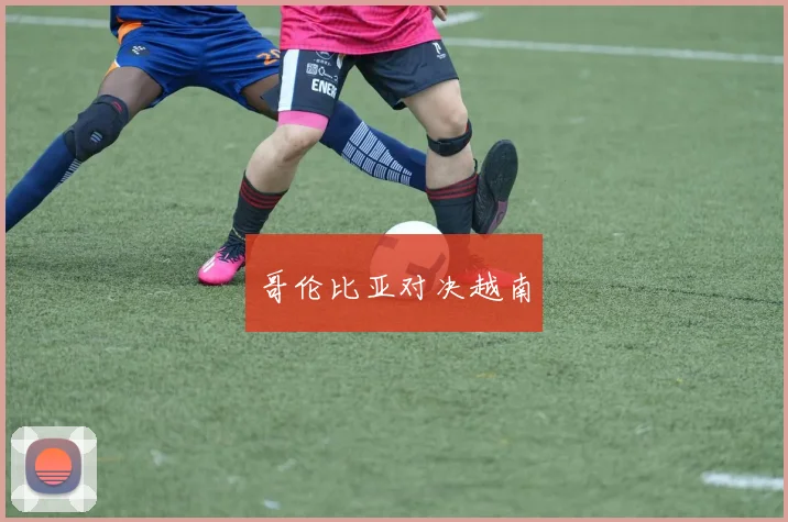哥伦比亚对决越南