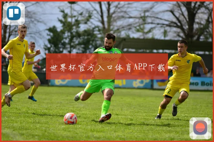 世界杯官方入口体育APP下载