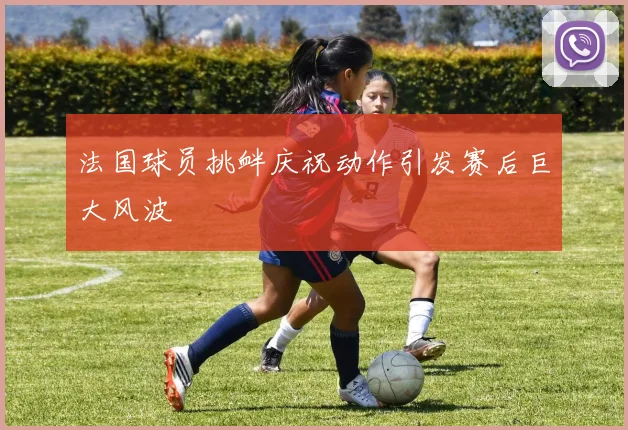 法国球员挑衅庆祝动作引发赛后巨大风波