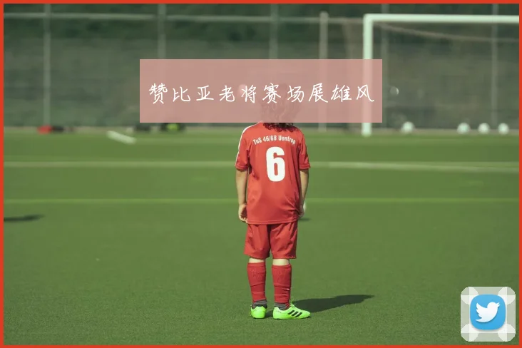 赞比亚老将赛场展雄风