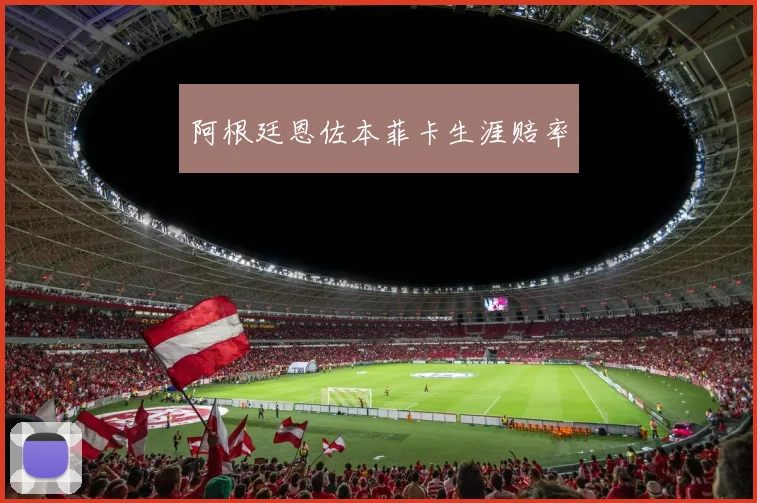 阿根廷恩佐本菲卡生涯赔率