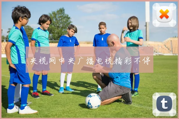 央视网中央广播电视精彩不停