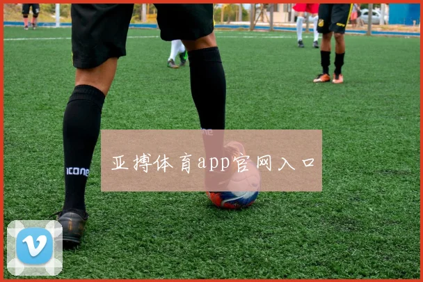 亚搏体育app官网入口