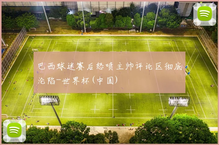 巴西球迷赛后怒喷主帅评论区彻底沦陷-世界杯(中国)