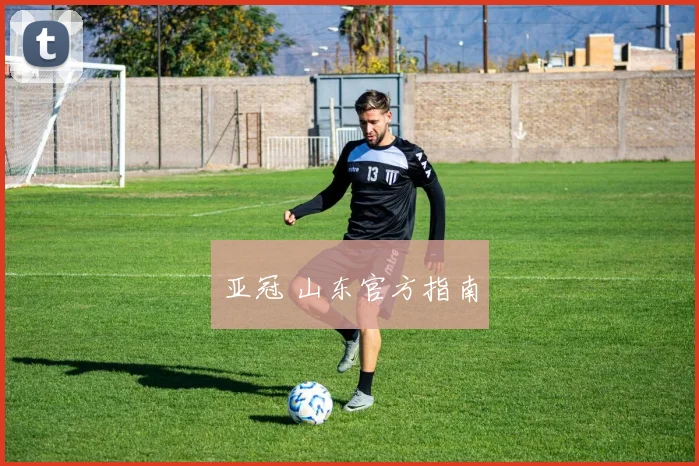 亚冠 山东官方指南