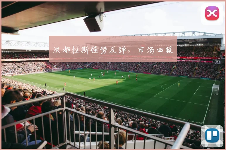 洪都拉斯强势反弹，市场回暖