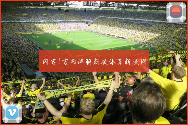 闪客!官网详解新浪体育新浪网