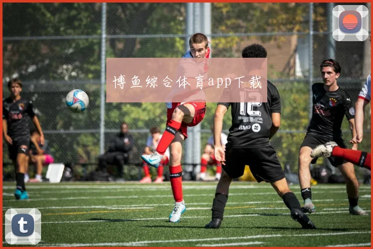博鱼综合体育app下载