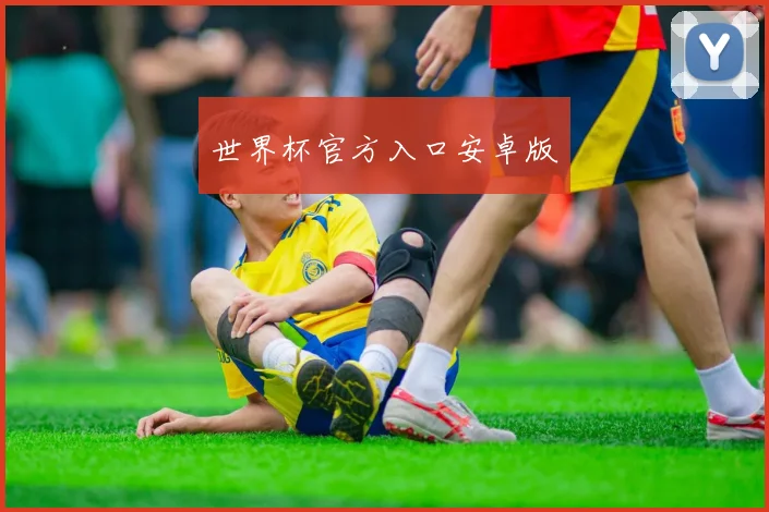 世界杯官方入口安卓版