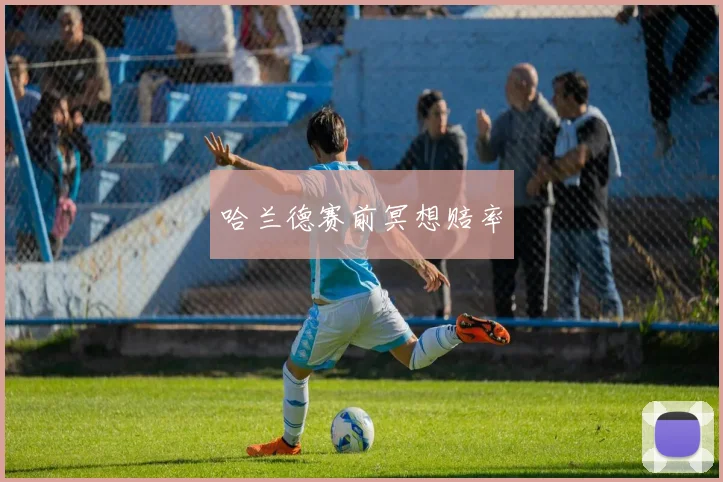 哈兰德赛前冥想赔率
