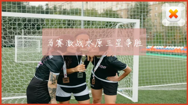 马赛激战水原三星争胜