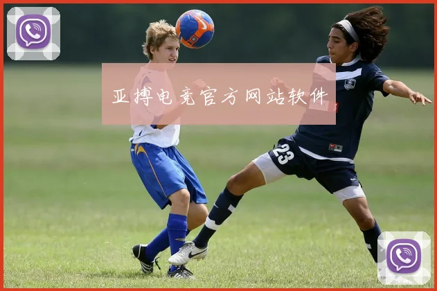 亚搏电竞官方网站软件