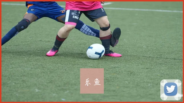 乐鱼