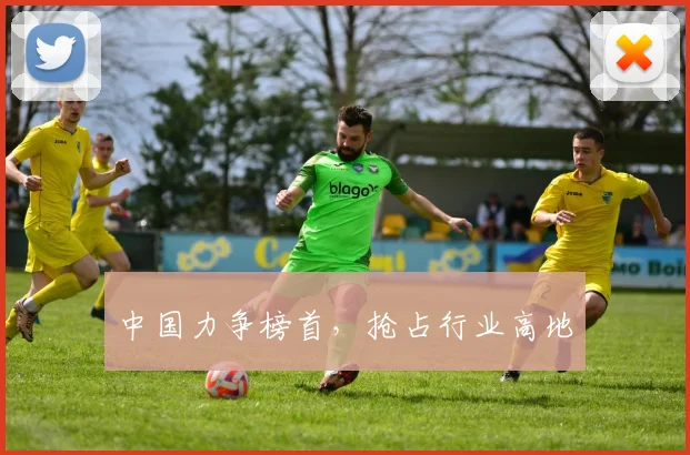 中国力争榜首，抢占行业高地