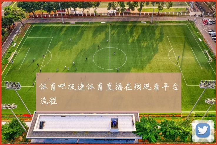 体育吧极速体育直播在线观看平台流程