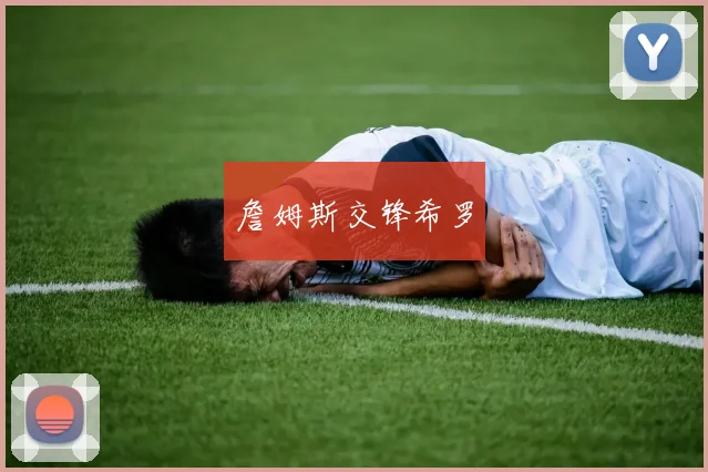 詹姆斯交锋希罗