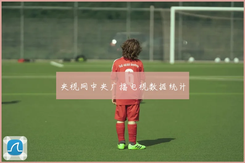 央视网中央广播电视数据统计