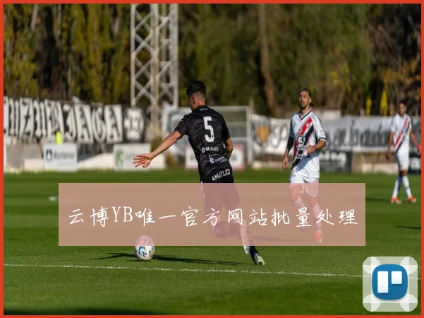 云博YB唯一官方网站批量处理