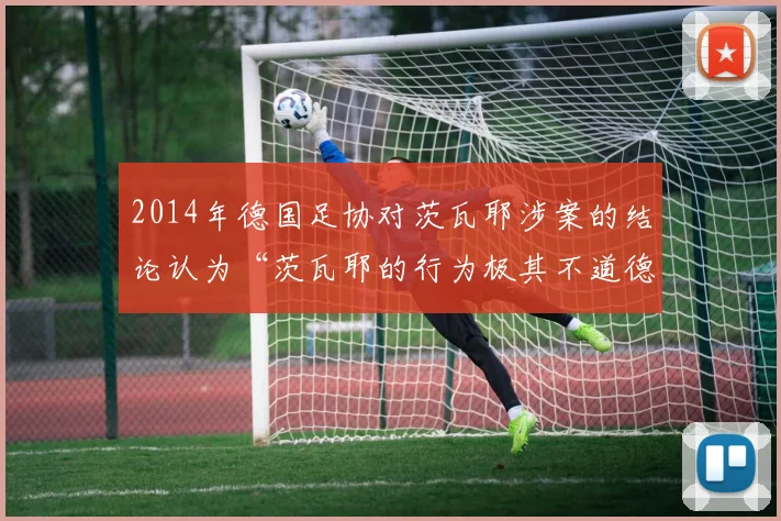 2014年德国足协对茨瓦耶涉案的结论认为“茨瓦耶的行为极其不道德”“茨瓦耶长期未向德国足协报告已知的操纵比赛的行为”