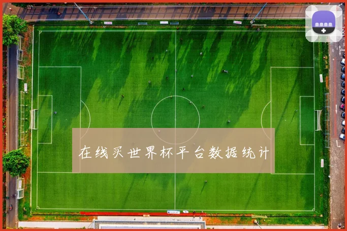 在线买世界杯平台数据统计