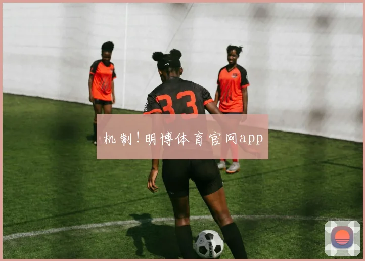 机制!明博体育官网app