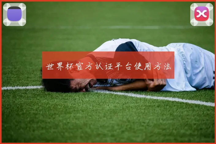 世界杯官方认证平台使用方法