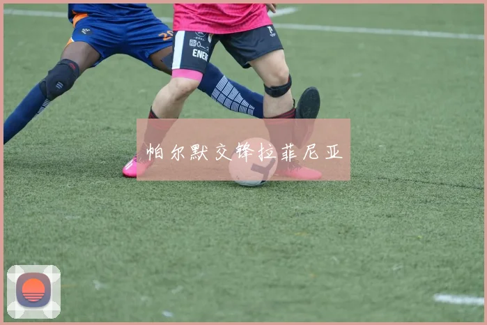 帕尔默交锋拉菲尼亚