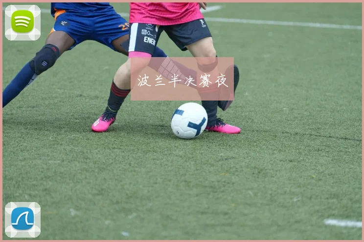 波兰半决赛夜