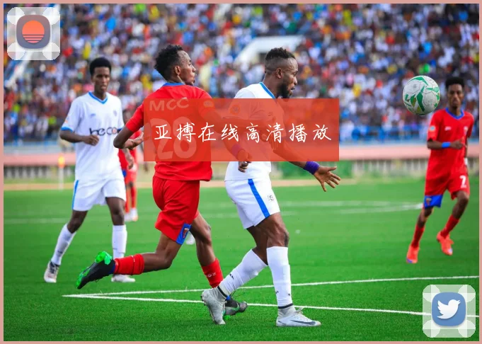 亚搏在线高清播放