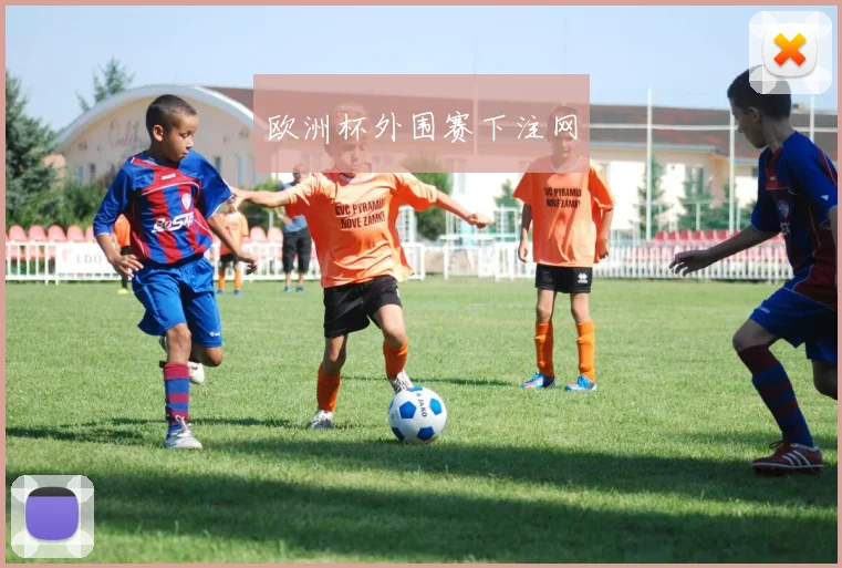 欧洲杯外围赛下注网