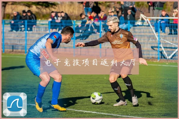 电子竞技项目返利大厅