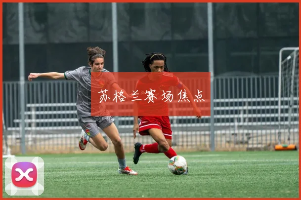 苏格兰赛场焦点