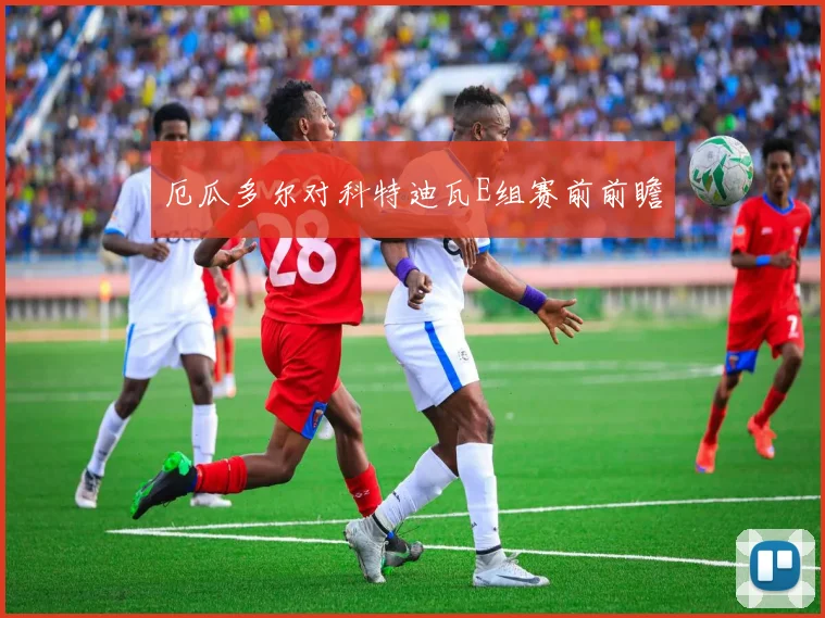 厄瓜多尔对科特迪瓦E组赛前前瞻