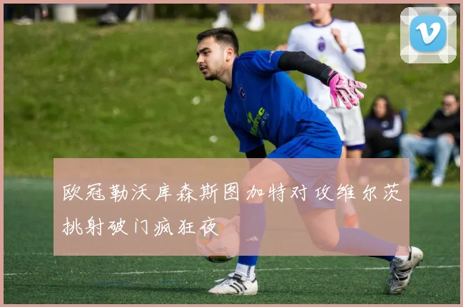 欧冠勒沃库森斯图加特对攻维尔茨挑射破门疯狂夜