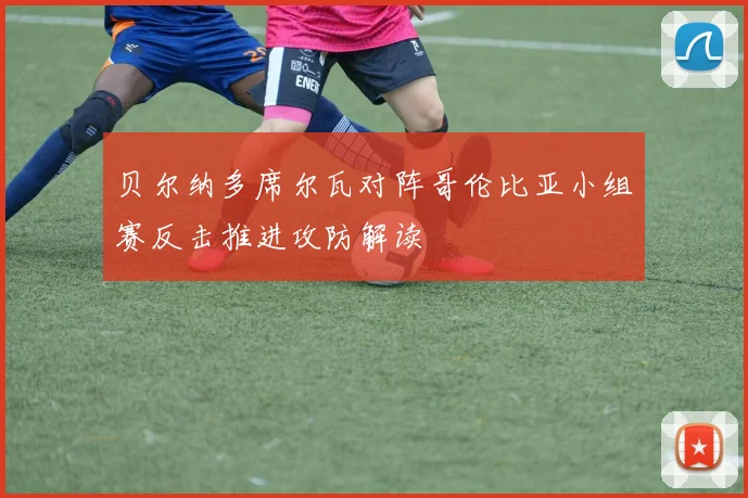 贝尔纳多席尔瓦对阵哥伦比亚小组赛反击推进攻防解读