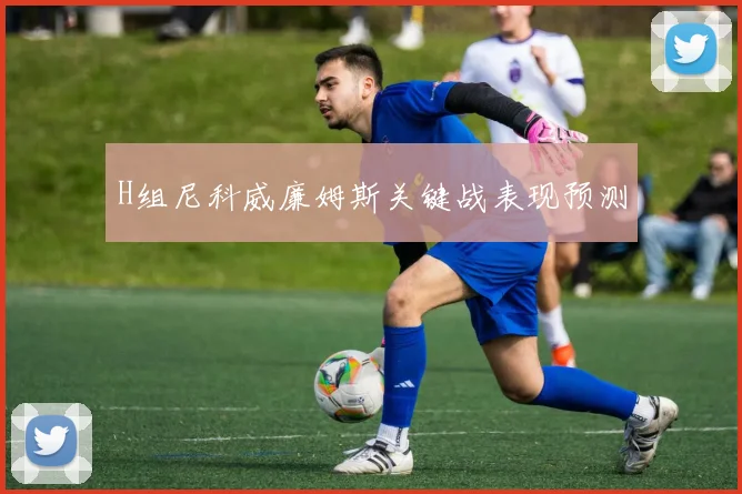 H组尼科威廉姆斯关键战表现预测