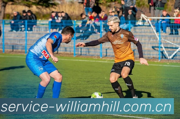 英国威廉希尔（WilliamHill）中文官网-williamhill8。comAPP 高清赛事图