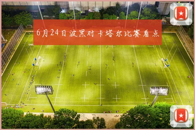 6月24日波黑对卡塔尔比赛看点