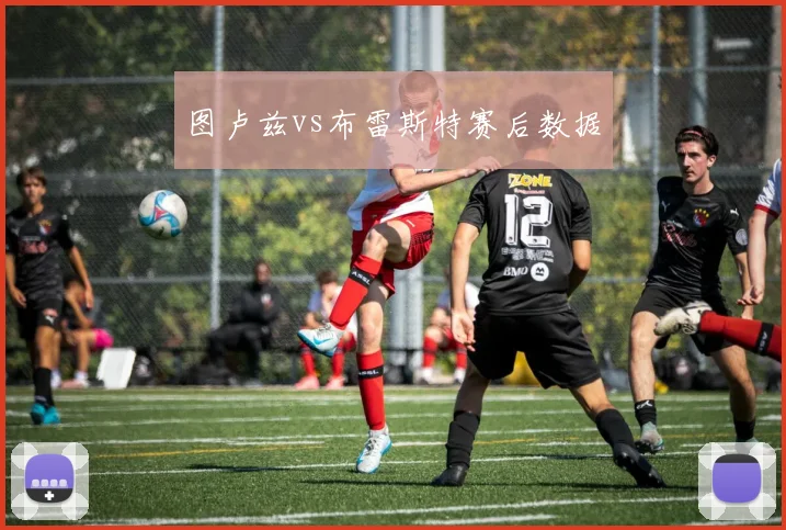 图卢兹vs布雷斯特赛后数据