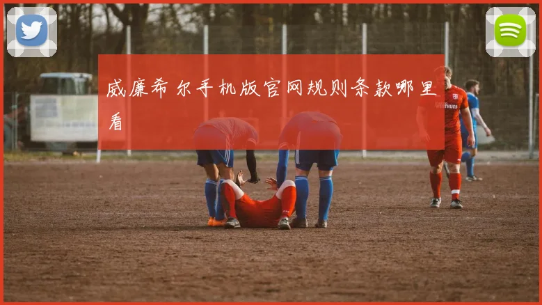 威廉希尔手机版官网规则条款哪里看